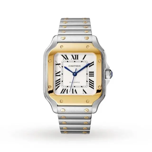 De Cartier W2SA0016: Medium