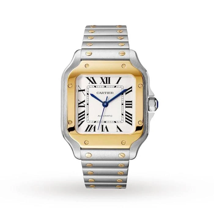 De Cartier W2SA0016: Medium protection film