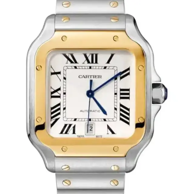De Cartier W2SA0009: Large