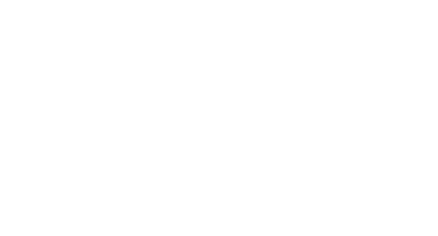 Franck Muller logo